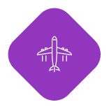 Vendia airline icon purple