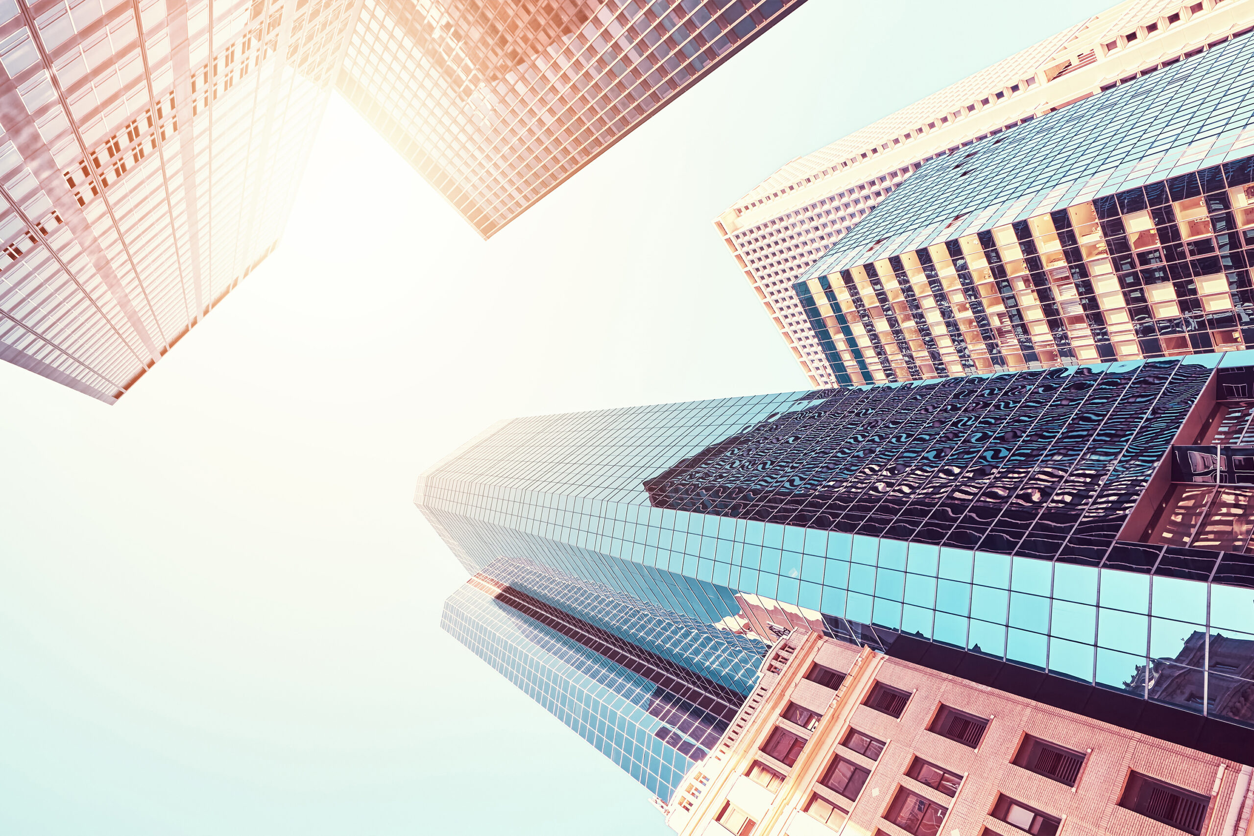 Vendia_A_roadmap_for_success_one_pager